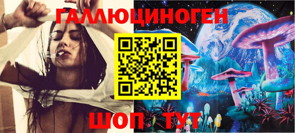Галлюциногенные грибы прущие грибы  Вход с VPN  продажа наркотиков  Гудермес 
